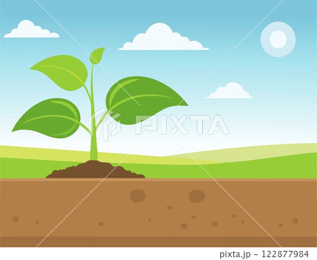A green young plant growing in soil on nature background A green young plant growing in soil on nature background 122877984