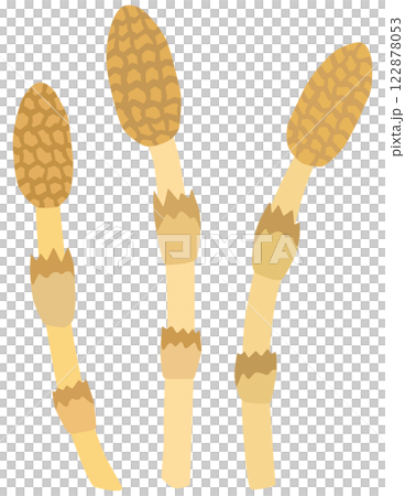 つくしのイラスト ベクター素材 つくしのイラスト ベクター素材 122878053