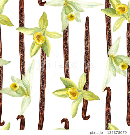 Vanilla beans with flowers seamless pattern in watercolor isolated on white background. High quality hand drawn design perfect for spice box, cafe menu, desert packaging, wrapping paper, logo Vanilla beans with flowers seamless pattern in watercolor isolated on white background. High quality hand drawn design perfect for spice box, cafe menu, desert packaging, wrapping paper, logo 122878079