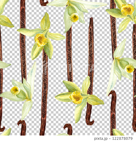 Vanilla beans with flowers seamless pattern in watercolor isolated on white background. High quality hand drawn design perfect for spice box, cafe menu, desert packaging, wrapping paper, logo Vanilla beans with flowers seamless pattern in watercolor isolated on white background. High quality hand drawn design perfect for spice box, cafe menu, desert packaging, wrapping paper, logo 122878079