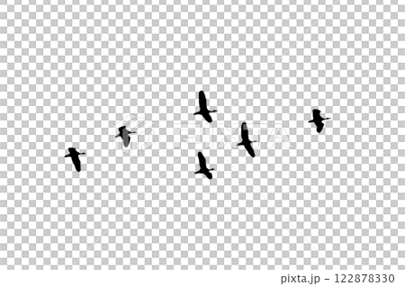 Bird sillhouette Flock black birds. Flocks of flying pigeons isolated on background. Save with clipping path. flying birds formation of pigeons many isolated for backgound PNG Bird sillhouette Flock black birds. Flocks of flying pigeons isolated on background. Save with clipping path. flying birds formation of pigeons many isolated for backgound PNG 122878330
