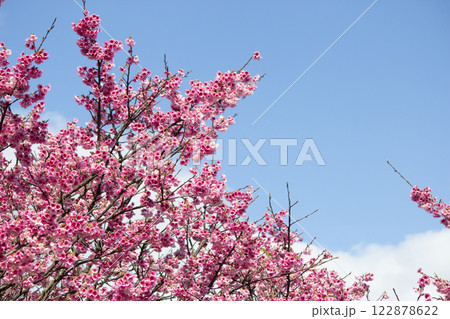 カジュアル 無造作 無頓着 122878622