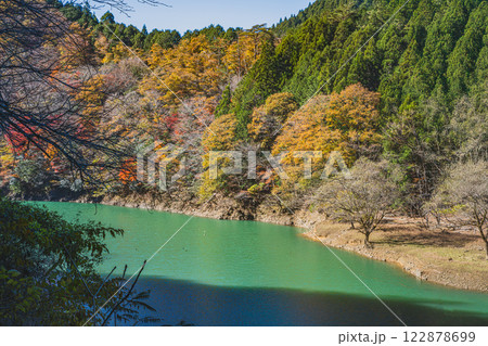 豊根村の新豊根ダムのみどり湖の紅葉の始まった風景(愛知県) 122878699
