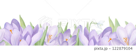 Purple crocuses and snowdrops seamless border. Watercolor floral illustration isolated on white. Hand drawn springtime background for print and design. Purple crocuses and snowdrops seamless border. Watercolor floral illustration isolated on white. Hand drawn springtime background for print and design. 122879104