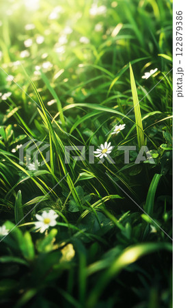 A scenic moment featuring a hiker on a wooded trail, surrounded by lush greenery and warm sunlight, capturing the awe of exploring nature beauty, banner 122879386