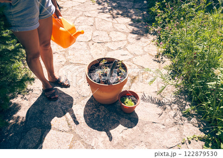 A woman holds a watering can in her hand. Watering plants before planting. Transplanting seedlings into a larger pot. With space to copy. High quality photo 122879530