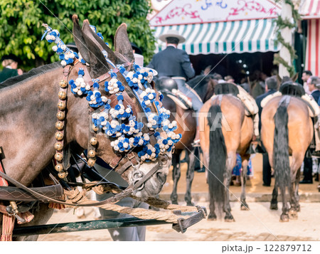 Elegant Horses Adorned for Seville April Fair Celebration Elegant Horses Adorned for Seville April Fair Celebration 122879712