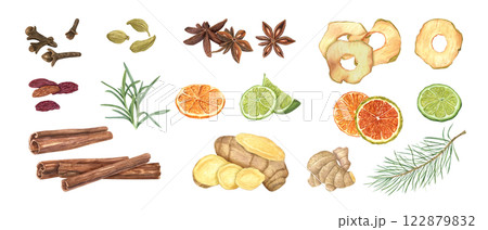 Watercolor aromatic spices, seasoning, citrus fruits, dried apple slices, spruce branch clip art illustration. Fragrance textured plant Ingredient clip art for medicine, food, drink decor 122879832