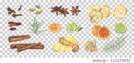 Watercolor aromatic spices, seasoning, citrus fruits, dried apple slices, spruce branch clip art illustration. Fragrance textured plant Ingredient clip art for medicine, food, drink decor 122879832