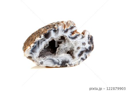 Macro mineral stone agate kidney gerbera 122879903