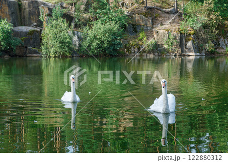 beautiful lake with a canyon on which swans swim with a blue sky beautiful lake with a canyon on which swans swim with a blue sky 122880312