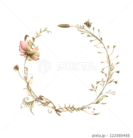 Field, meadow, wild flowers and herbs cosmos and other. Watercolor illustration hand drawn in beige, brown and ocher colors. Circle wreath frame isolated from background 122880488