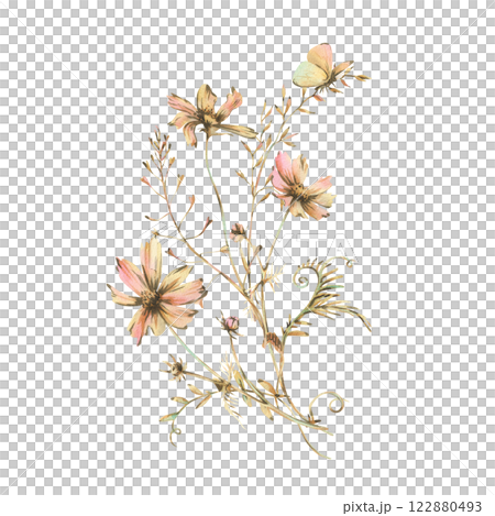 Field, meadow, wild flowers and herbs cosmos and other, butterfly. Watercolor illustration hand drawn in beige, brown and ocher colors. Bouquet isolated from the background 122880493