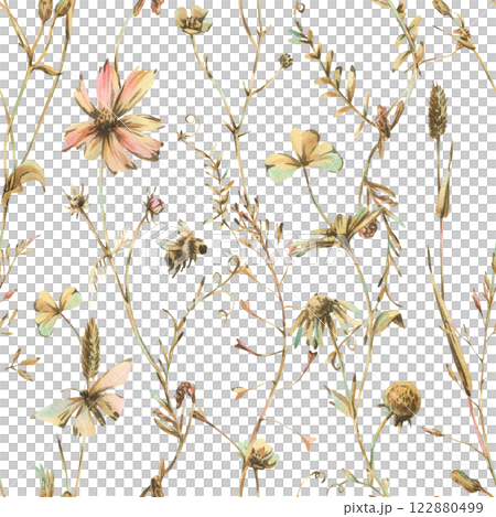 Field, meadow, wild flowers and herbs cosmos, chamomile, clover and insects. Watercolor illustration hand drawn in beige, brown and ocher colors. Seamless pattern on a white background Field, meadow, wild flowers and herbs cosmos, chamomile, clover and insects. Watercolor illustration hand drawn in beige, brown and ocher colors. Seamless pattern on a white background 122880499