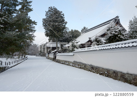 雪の南禅寺 南禅僧堂前の参道 京都市左京区 雪の南禅寺 南禅僧堂前の参道 京都市左京区 122880559