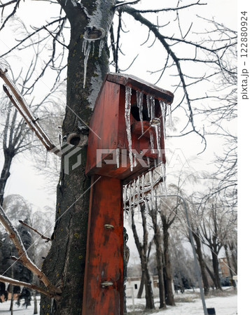 Bird house in winter on an old tree 122880924