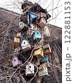 Bird houses on an old tree close-up 122881153