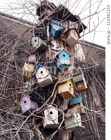 Bird houses on an old tree close-up 122881153