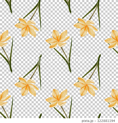 seamless pattern with crocus flower in yellow color, drawn in watercolor, isolated on white. Hand drawn botanical illustration. Elements for cards, logos, prints, wedding design 122881194