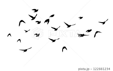 Flying birds silhouette flock. hand drawing. Not AI. Vector illustration Flying birds silhouette flock. hand drawing. Not AI. Vector illustration 122881234