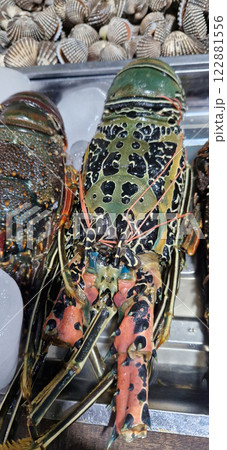 Fresh seafood at Gili T night market Fresh seafood at Gili T night market 122881556