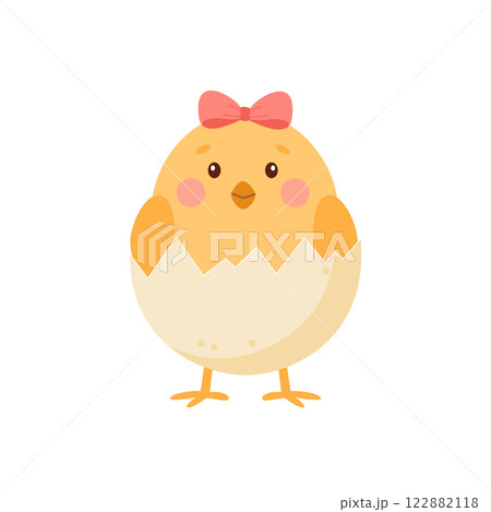 Cute little chicken hatched from an egg. 122882118