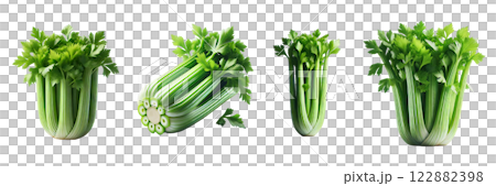 Fresh celery, side and top view isolated on transparent background, PNG file. Ideal for mockup templates or educational designs Fresh celery, side and top view isolated on transparent background, PNG file. Ideal for mockup templates or educational designs 122882398