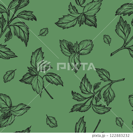 Basil seamless pattern. Vector. Graphic illustration. Leaf vegetable healthy eating. Greenery. Hand drawn sketch on green background. For design, packaging spices, greengrocery, kitchen textile, logo Basil seamless pattern. Vector. Graphic illustration. Leaf vegetable healthy eating. Greenery. Hand drawn sketch on green background. For design, packaging spices, greengrocery, kitchen textile, logo 122883232