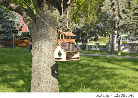 A bird feeder in a city park. caring for birds in winter during the cold season 122883349