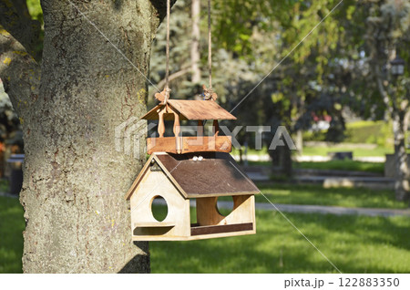 A bird feeder in a city park. caring for birds in winter during the cold season 122883350
