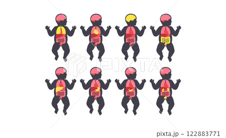 Human internal organs Human internal organs 122883771