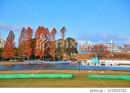 《愛知県》名古屋市　秋の庄内緑地公園 122883782