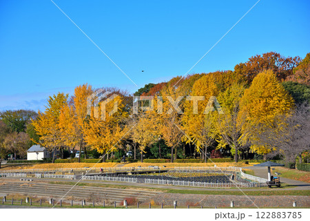 《愛知県》名古屋市　秋の庄内緑地公園 122883785