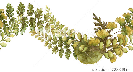 Fern leaves curved seamless border in the earth green tone. Hand drawn watercolor botanical element with textured foliage. Perfect for the use of ecological material and sustainable designs. Fern leaves curved seamless border in the earth green tone. Hand drawn watercolor botanical element with textured foliage. Perfect for the use of ecological material and sustainable designs. 122883953
