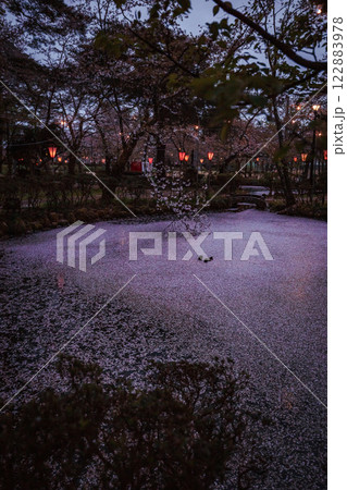 新潟県高田城址公園の桜、花びらでいっぱいの池 122883978