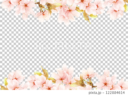 Cherry blossom frame in full bloom Cherry blossom frame in full bloom 122884614