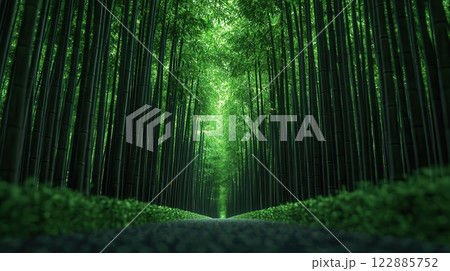 A long path of green trees with a few bushes in the foreground 122885752