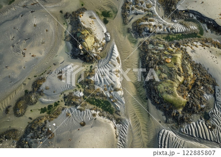 Patterns in Coastal Sand and Seaweed 122885807