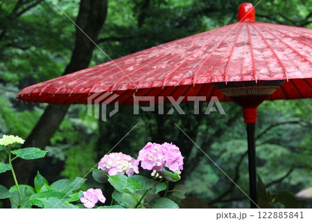 2011年6月の太平山の紫陽花 2011年6月の太平山の紫陽花 122885841