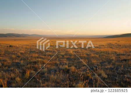 Golden Field at Sunset 122885925