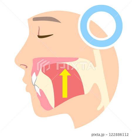 正しいミューイングの方法　適正な舌の位置と誤った舌の位置 122886112
