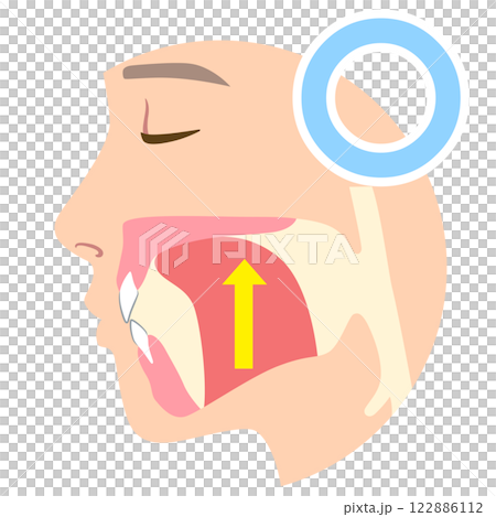 How to mew properly: correct and incorrect tongue position 122886112