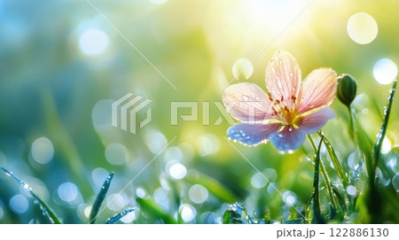 A flower is in the foreground of a green field 122886130