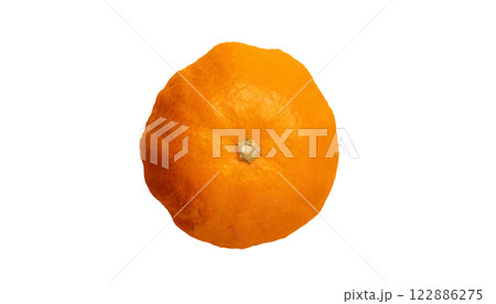 みかん（AI生成素材） 122886275