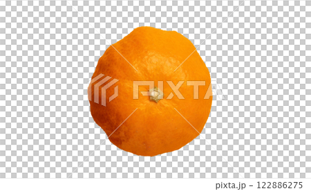 みかん（AI生成素材） 122886275
