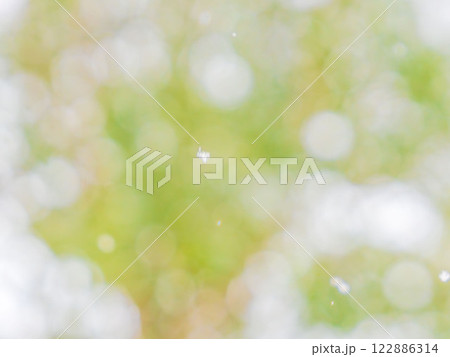 雪が降る森　ボカシ表現13 122886314