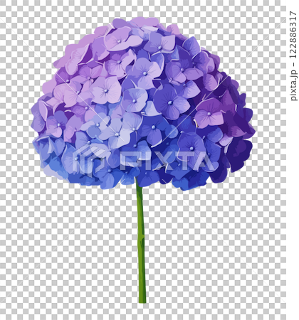 梅雨に咲く紫陽花のイラスト　生成AI 122886317