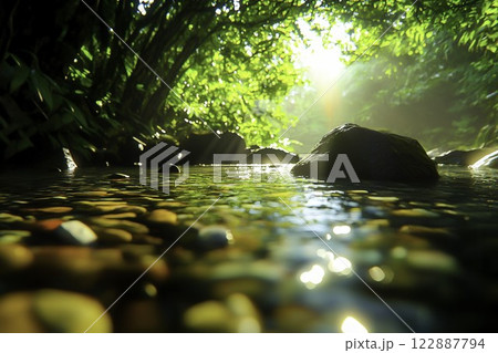 Tranquil Creek with Sunlight and Lush Greenery in Nature Scene Tranquil Creek with Sunlight and Lush Greenery in Nature Scene 122887794