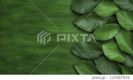 Eco-Friendly Watercolor Designs Featuring Hand-Painted Leaves 122887938