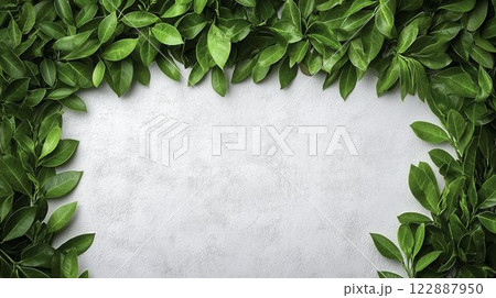 Fresh Green Leaves Border with Intricate Details on Light Background Fresh Green Leaves Border with Intricate Details on Light Background 122887950
